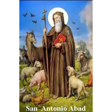 St. Antonius Abt Plastifizierter Abdruck. 5x7,5cm