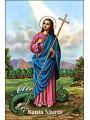 Heilige Martha  Plastifizierter Abdruck. 5x7,5cm