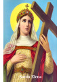 St. Helena Plastifizierter Abdruck. 5x7,5cm