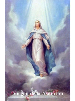 Jungfrau von Mariä Himmelfahrt Plastifizierter Abdruck. 5x7,5cm