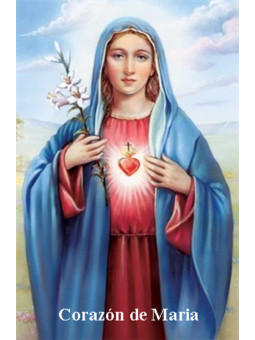 Plastifiziertes Herz Mariens Abdruck, 5x7,5cm, 5x7,5cm