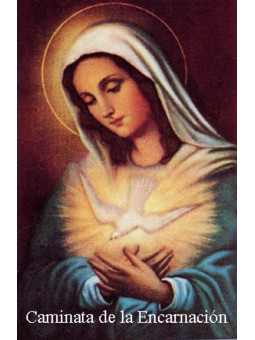 Jungfrau der Menschwerdung Spaziergang Plastifizierter Abdruck. 5x7,5cm