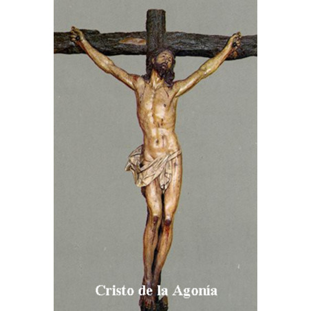 Christus in der Agonie Plastifizierter Abdruck, 5x7,5cm.