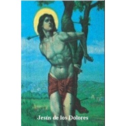 Plastifizierter Abdruck von Jesus der Schmerzen, 5x7,5cm