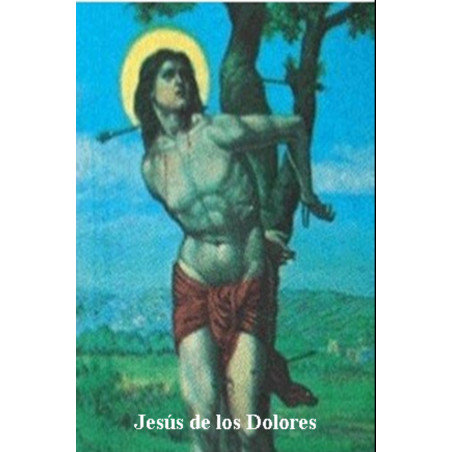 Plastifizierter Abdruck von Jesus der Schmerzen, 5x7,5cm