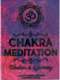 Amethyst-Riesen-Mineral-Pendel 5,5cm bis 7cm