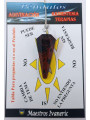 Pendel Selenit Mineral 3,5cm bis 4,5cm
