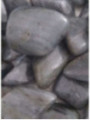 Kieselstein Jaspis Leopardit Gross 3,5cm bis 5cm