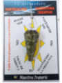 Pendel Kräuterjaspis Facettiertes Mineral 3cm bis 4cm