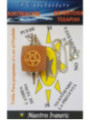 Orangefarbenes Aventurin-Mineralpendel mit Pentagramm