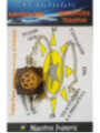 Mineralienpendel Tigerauge mit Pentagramm