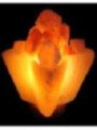 Handgemachte Salzlampe Blume Form, von 2 bis 4 kg