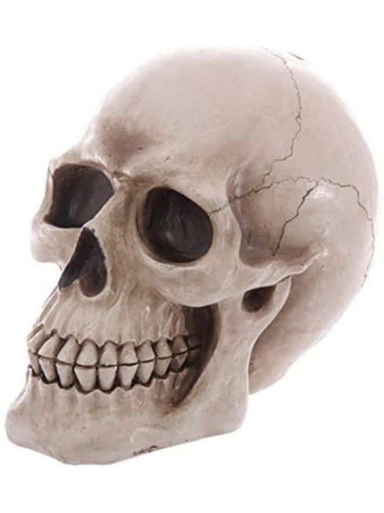 Totenkopf-Sparschwein Figur 24,5 x 16 x 19,5 cm