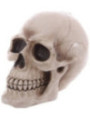 Totenkopf-Sparschwein Figur 24,5 x 16 x 19,5 cm