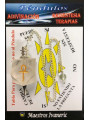 Pendel Mineral Quarzkristall Pendel mit Ankh Schlüssel