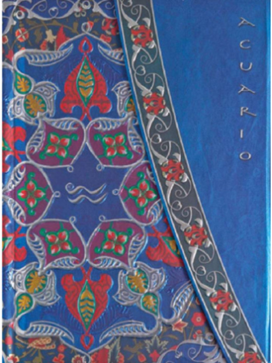 Aquarius Notizbuch.