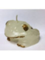 Weiße Glücksfrosch-Figur, Glück im Allgemeinen