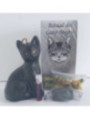 Ritual der schwarzen Katze, das Glück anzieht