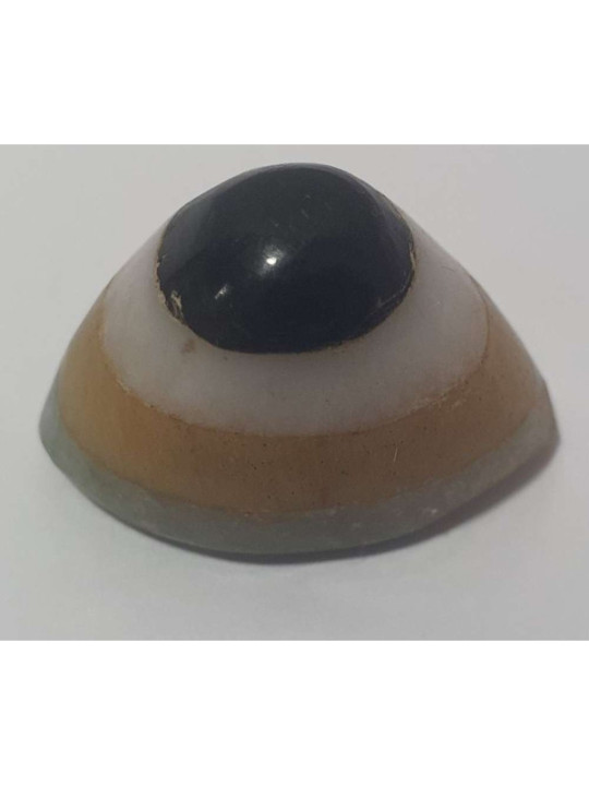 Mineral Amulett 3 Farben Shiva Auge 2-3cm