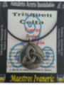 Handgefertigter Trisquell-Talisman aus Edelstahl. Stärke, Schutz, Kraft