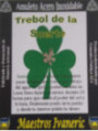 Handgefertigter Edelstahl-Talisman Lucky Shamrock. 1,3 cm
