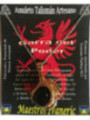 Talisman ArtiHeilige Goldener Talisman Power Claw mit schwarzem Achat