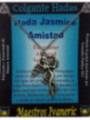 Talisman-Feen der Freundschaft. Jasmin